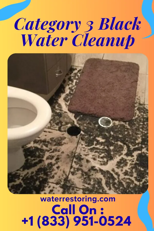 Category 3 Black Water Cleanup in Wakefield, MI