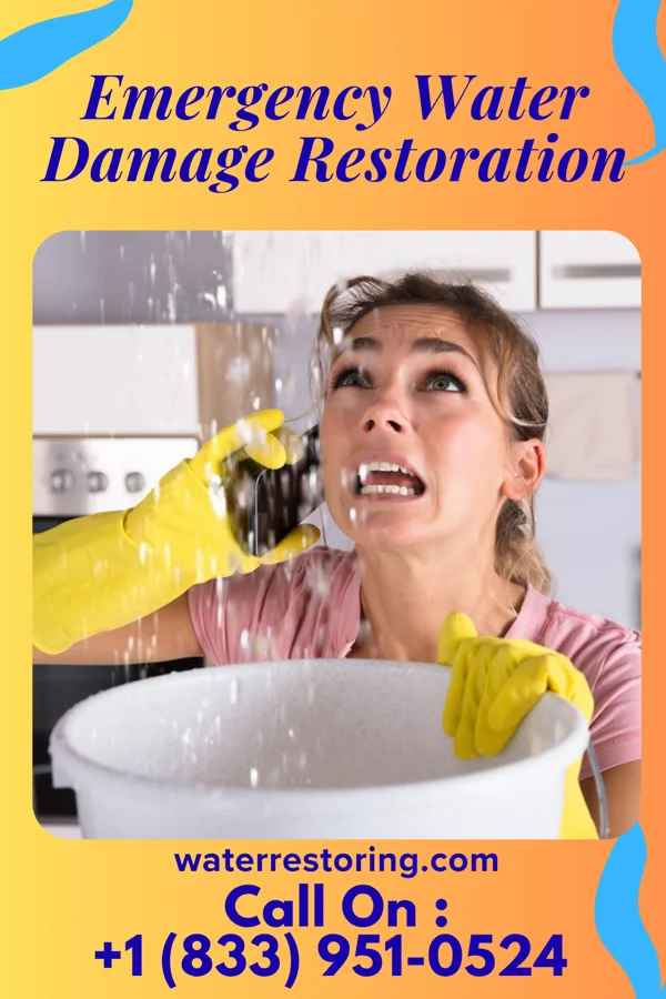 Emergency Water Damage Restoration in Wakefield, MI