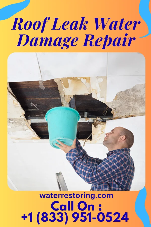Roof Leak Water Damage Repair in Wakefield, MI