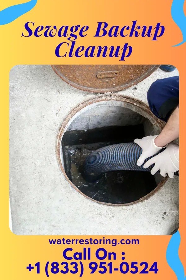Sewage Backup Cleanup in Wakefield, MI
