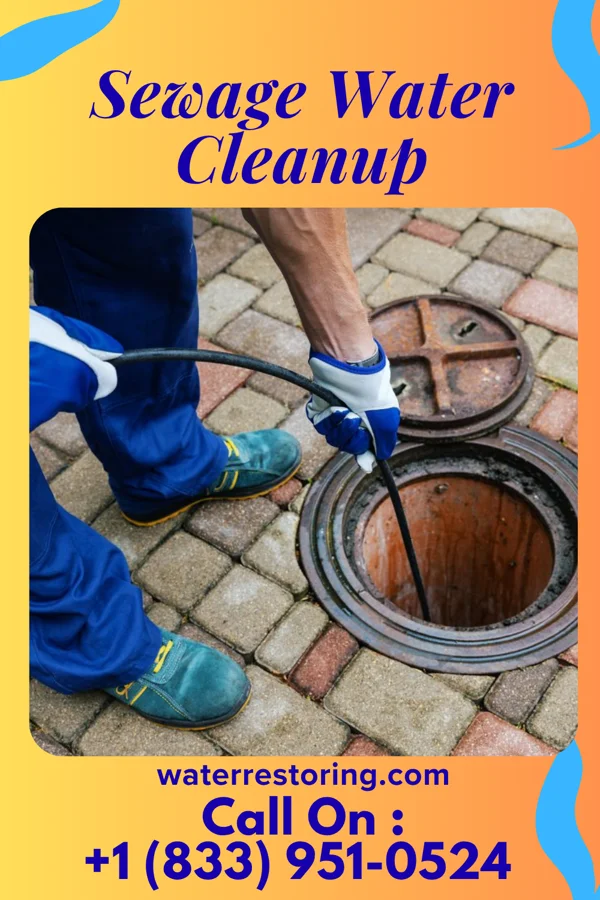 Sewage Water Cleanup in Wakefield, MI